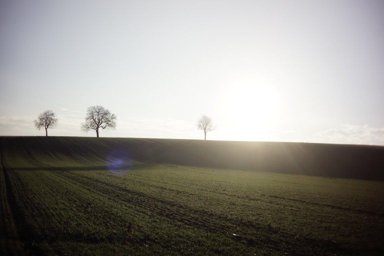 Nana Avingarde - Naturwesen-Erlebnisseminare in der Pfalz. Mediation und Spiritualität.