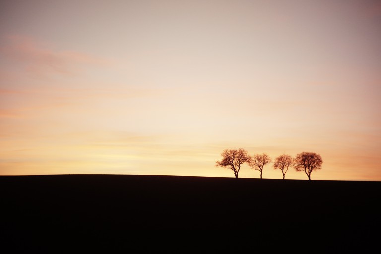 Foto von Nana Avingarde in der Pfalz